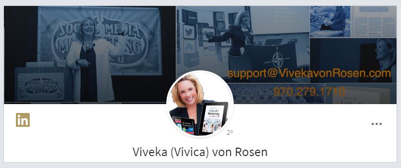 Ejemplo fondo de LinkedIn: Viveka Von Rosen